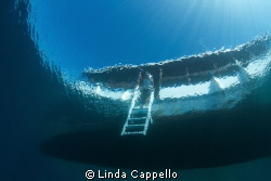 I am relatively new to this so here is my first pic! This... by Linda Cappello 